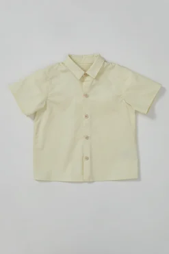 Button-Down Cotton Shirt