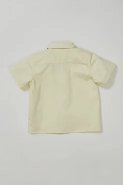 Button-Down Cotton Shirt
