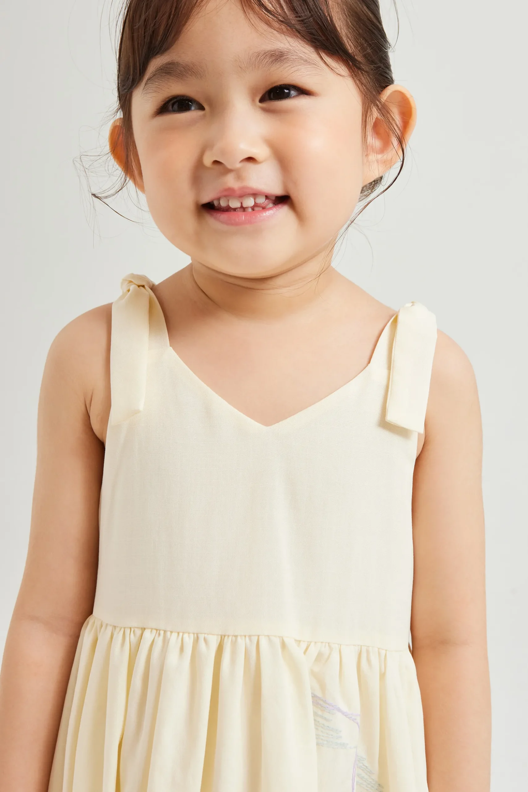 Calla Embroidered V-Neck Dress