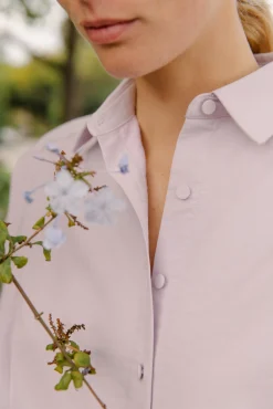Cotton Button-Down Shift Dress