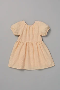 Gingham Picnic Dress