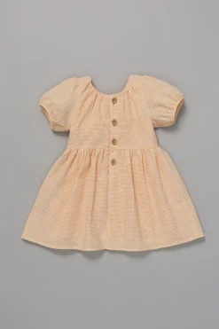 Gingham Picnic Dress
