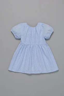 Gingham Picnic Dress