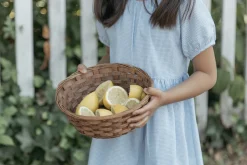 Gingham Picnic Dress