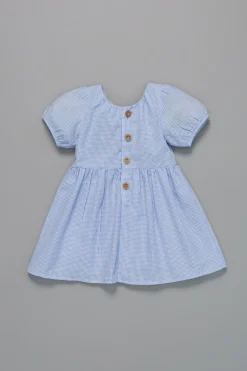 Gingham Picnic Dress