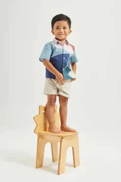 Interlude Boy’s Shirt