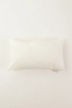 Lumbar Cushion Insert
