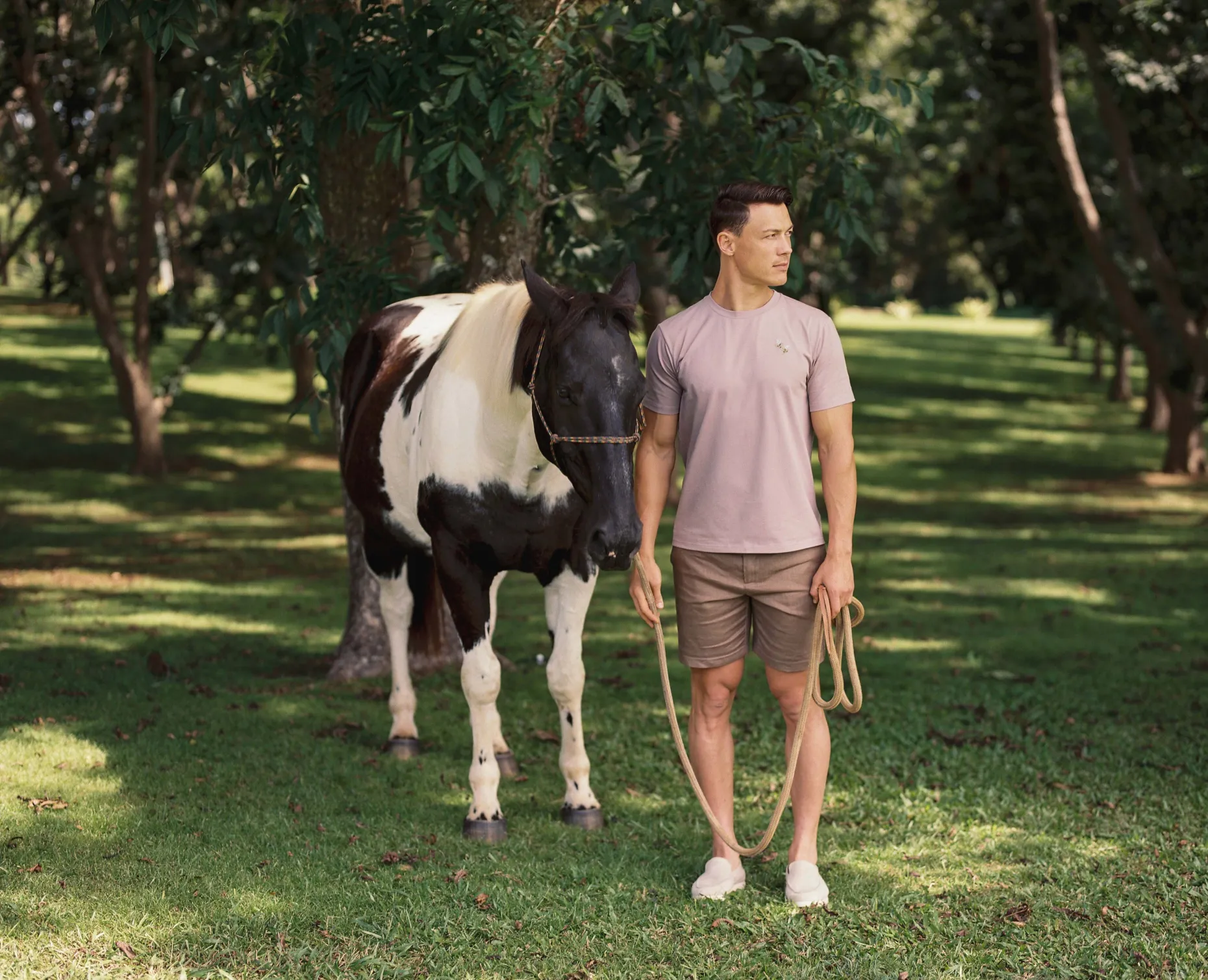 Men’s Linen Shorts
