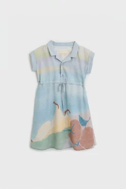 Savour Rayon Collared Dress