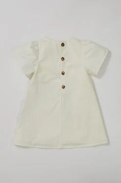 Valley Shift Dress